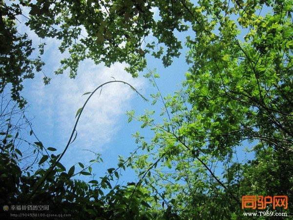 psb (44)_调整大小.jpg psb (44)_调整大小.jpg