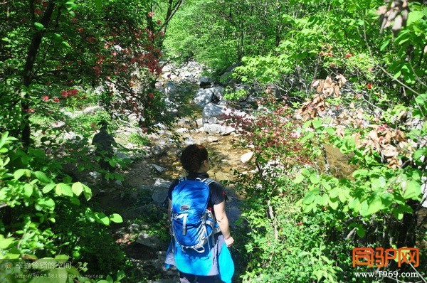 psb (40)_调整大小.jpg psb (40)_调整大小.jpg