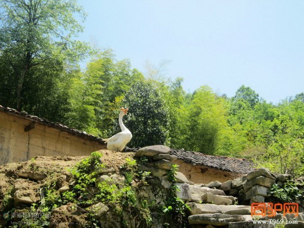 psb (45)_调整大小.jpg psb (45)_调整大小.jpg