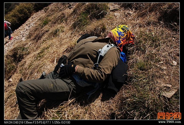 这什么情况？？