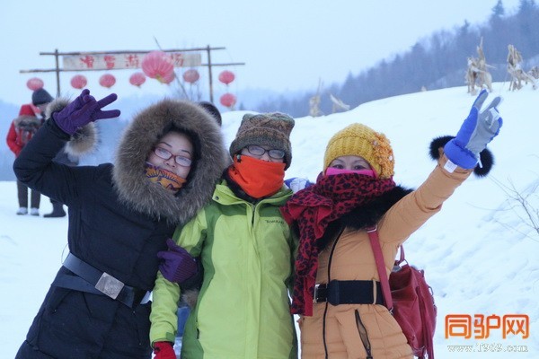 P 202_调整大小.jpg P 202_调整大小.jpg