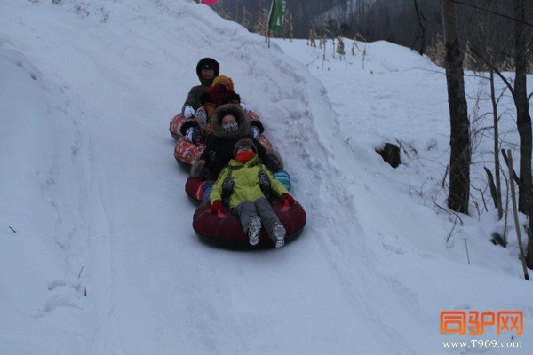 P 217_调整大小.jpg P 217_调整大小.jpg