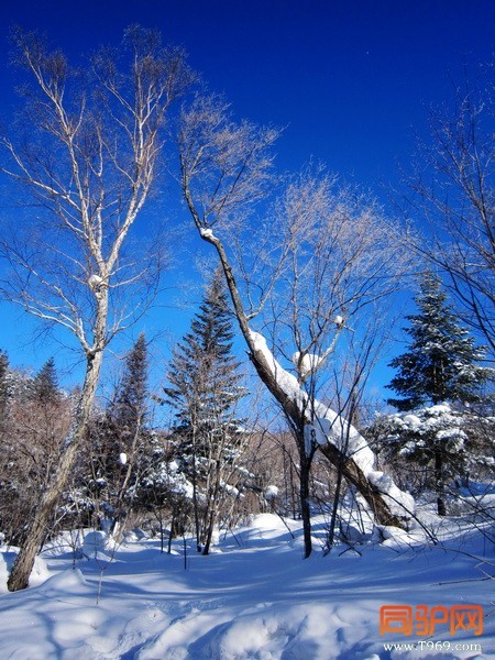 IMG_3105_调整大小.jpg IMG_3105_调整大小.jpg