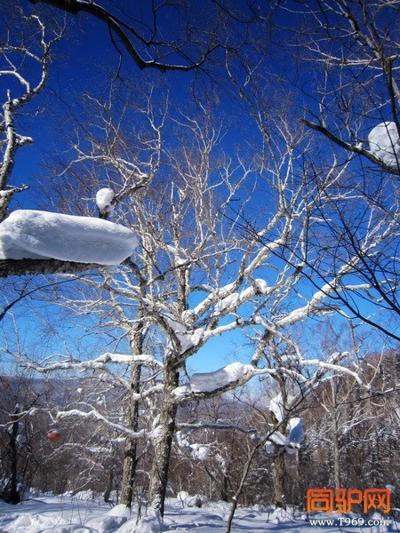 IMG_3110_调整大小.jpg IMG_3110_调整大小.jpg