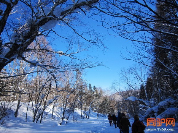 IMG_3217_调整大小.jpg IMG_3217_调整大小.jpg