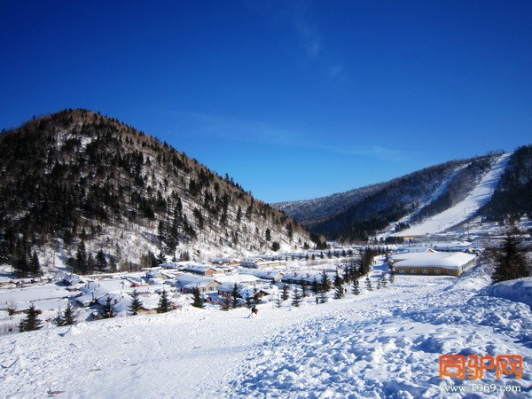 IMG_3248_调整大小.jpg IMG_3248_调整大小.jpg