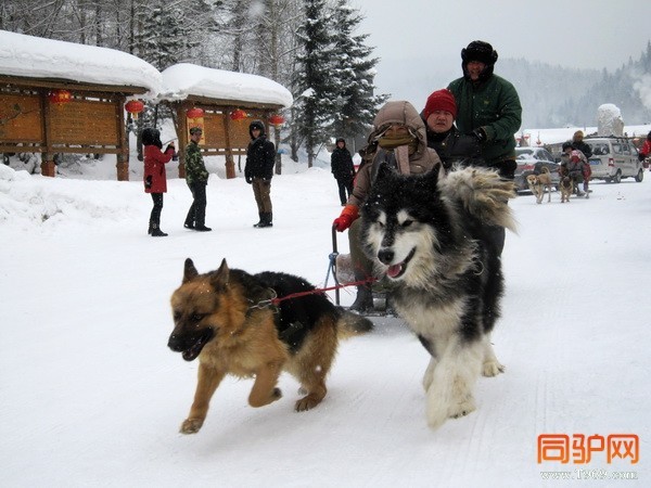 IMG_3324_调整大小.jpg IMG_3324_调整大小.jpg