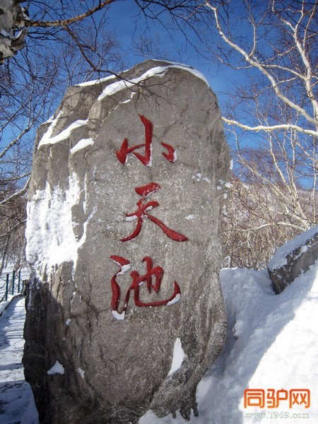 IMG_3530_调整大小.jpg IMG_3530_调整大小.jpg