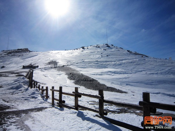 IMG_3583_调整大小.jpg IMG_3583_调整大小.jpg