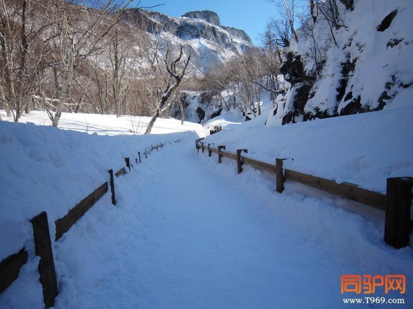 IMG_3603_调整大小.jpg IMG_3603_调整大小.jpg