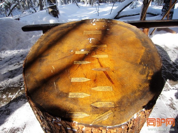 IMG_3621_调整大小.jpg IMG_3621_调整大小.jpg