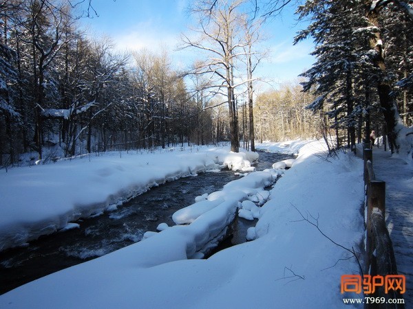 IMG_3635_调整大小.jpg IMG_3635_调整大小.jpg