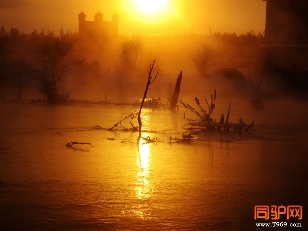 IMG_3703_调整大小.jpg IMG_3703_调整大小.jpg