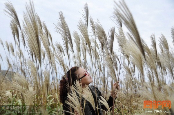 psbCA6X02MY_调整大小.jpg psbCA6X02MY_调整大小.jpg