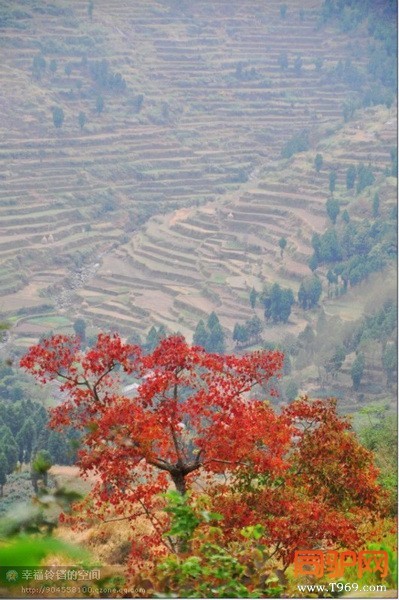 psbCA6RX4IQ_调整大小.jpg psbCA6RX4IQ_调整大小.jpg