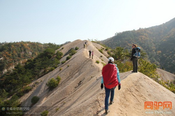 psbCA5K0LR6_调整大小.jpg psbCA5K0LR6_调整大小.jpg