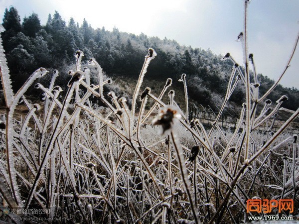 psbCA43EO3Y_调整大小.jpg psbCA43EO3Y_调整大小.jpg