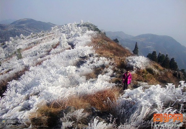 psbCA15T03H_调整大小.jpg psbCA15T03H_调整大小.jpg