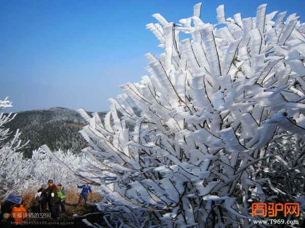 psbCARZ0K8D_调整大小.jpg psbCARZ0K8D_调整大小.jpg