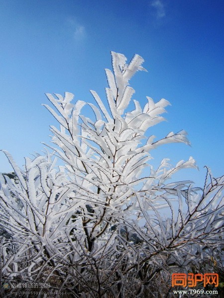 psbCAQPIGBT_调整大小.jpg psbCAQPIGBT_调整大小.jpg