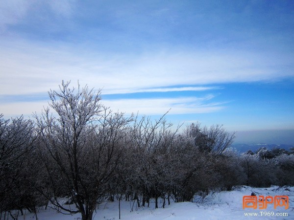 IMG_2771_调整大小.jpg IMG_2771_调整大小.jpg