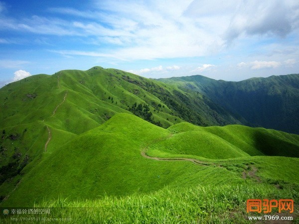 psbCAN1S56L_调整大小.jpg psbCAN1S56L_调整大小.jpg