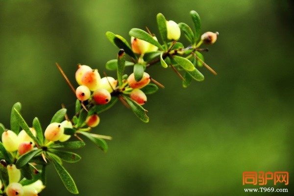 _DSC0117_调整大小.jpg _DSC0117_调整大小.jpg