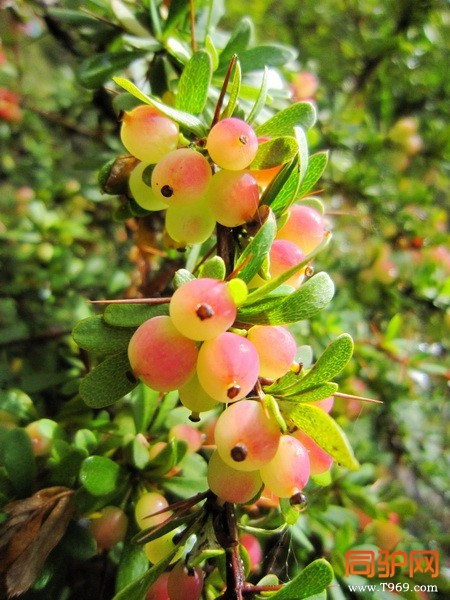 IMG_1149_调整大小.jpg IMG_1149_调整大小.jpg