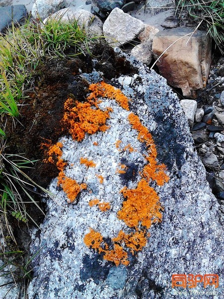 IMG_20121003_125833_调整大小.jpg IMG_20121003_125833_调整大小.jpg