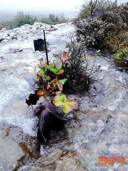 IMG_20121003_130405_调整大小.jpg IMG_20121003_130405_调整大小.jpg