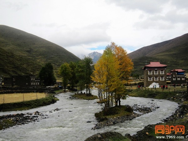 IMG_1179_调整大小.jpg IMG_1179_调整大小.jpg