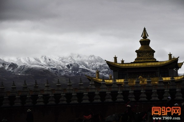 _DSC0301_调整大小.jpg _DSC0301_调整大小.jpg