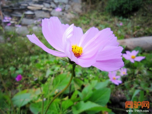 IMG_1434_调整大小.jpg IMG_1434_调整大小.jpg