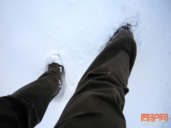 IMG_1446_调整大小.jpg IMG_1446_调整大小.jpg