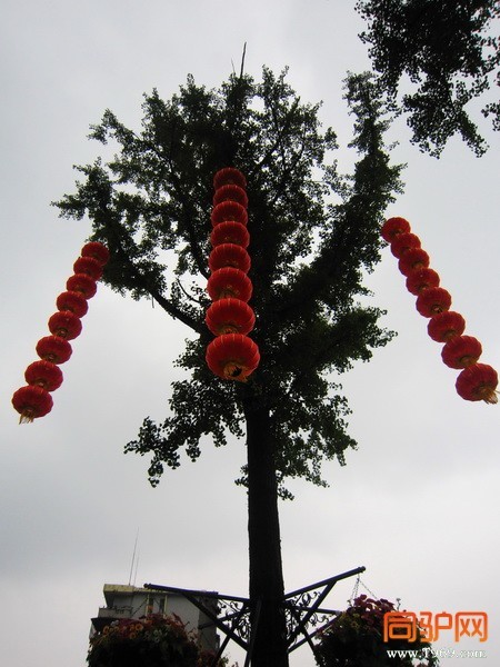 IMG_1605_调整大小.jpg IMG_1605_调整大小.jpg