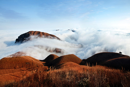 11.24 秋意浓浓 金色满满 金秋时节踏武功金顶 赏武功美景
