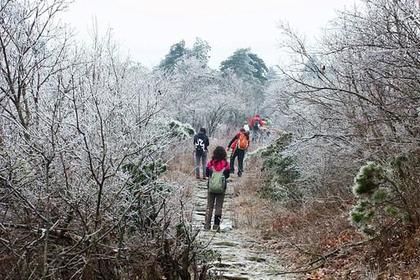 2018 关门登山赏雾松 徒步穿越,百丈岭穿越至云顶湖