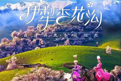 2019年第一期4月6号——13号新疆杏”好有你,“花”开再会