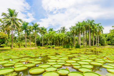 2021年4月10日起6日西双版纳亲子泼水节邀你前往