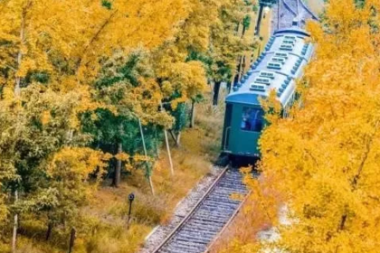 10月3日——4日 杭州赏秋自驾2日游