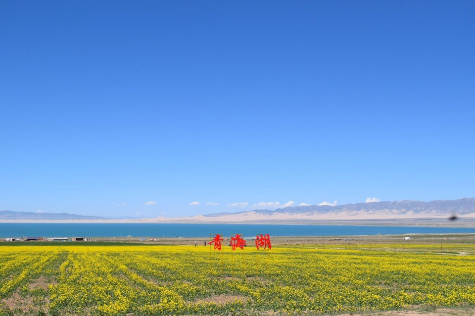最美不过7月青海湖