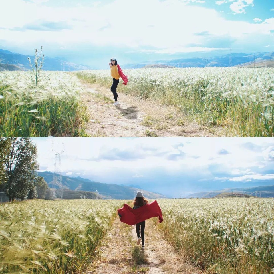 微信图片_20170726163724