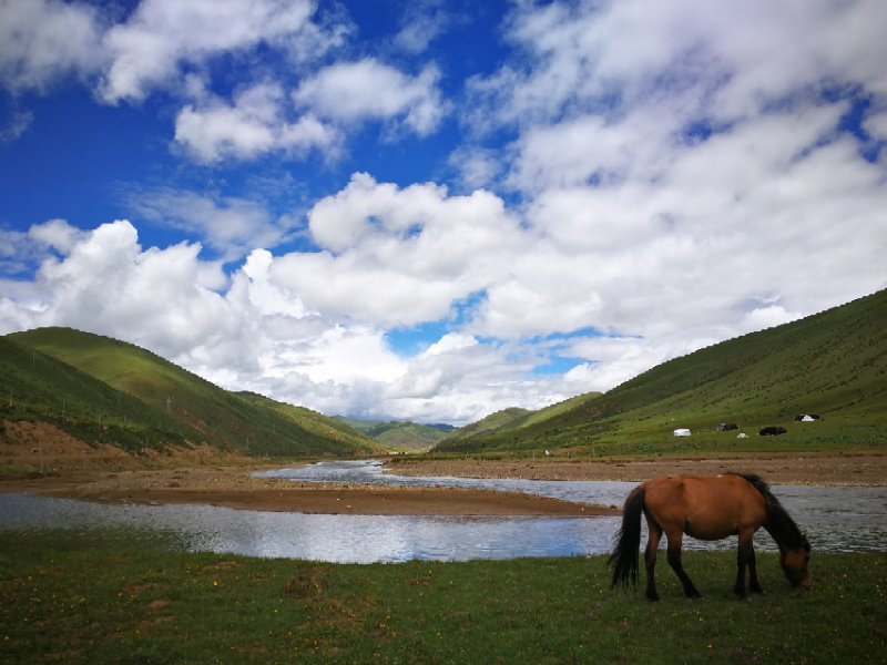 微信图片_20170726163737