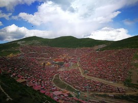 看了之后会不会很感动