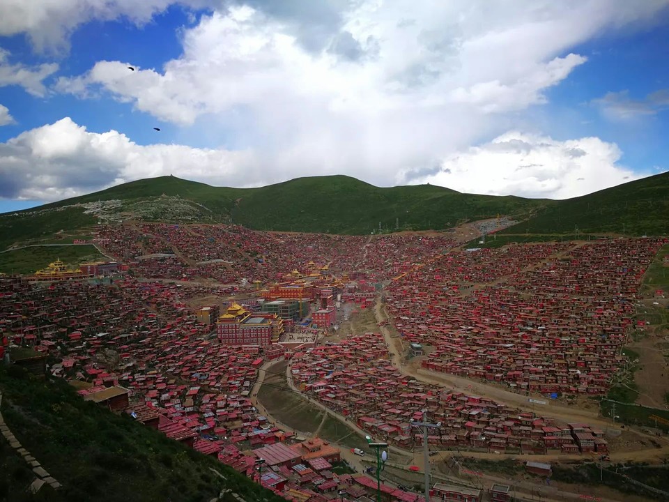 看了之后会不会很感动