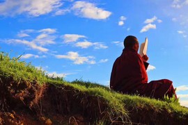 很感动的一张照片