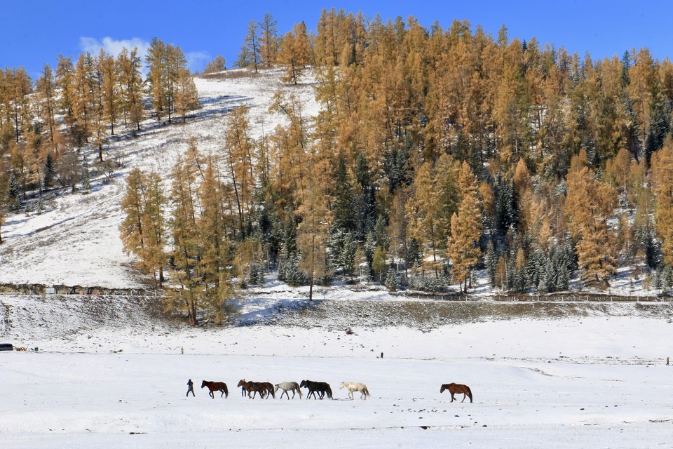 一不小心捕捉了这张照片像是油画一般，北疆这里真是随便一拍就可以当屏保用~