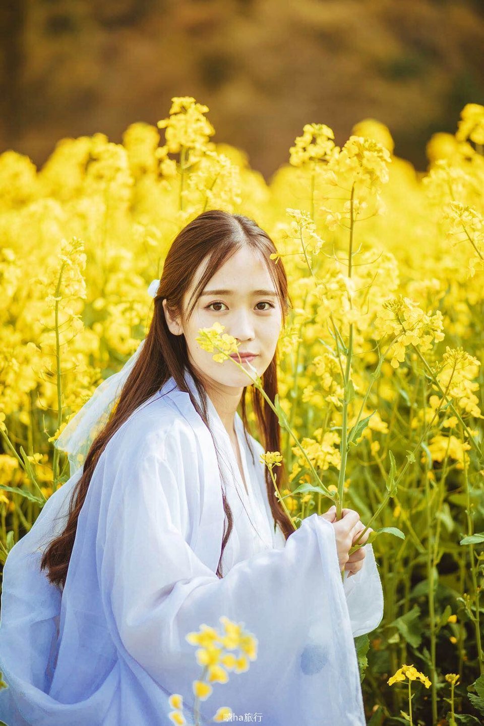 微信图片_20180323182537