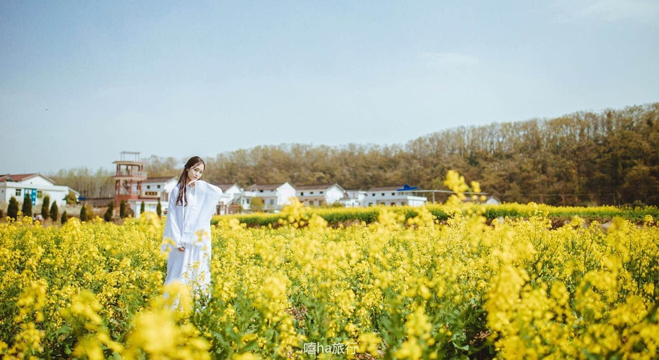 微信图片_20180323182545