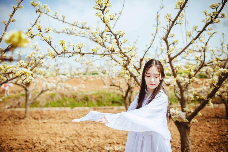 微信图片_20180323182551